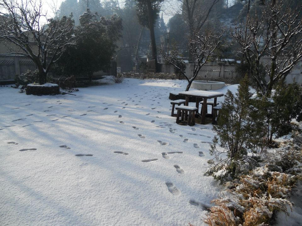 Rewa Retreat Hotel Nainital Exterior photo